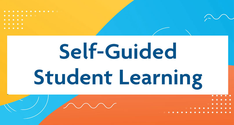 Self-Guided Student Learning